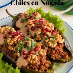 Get ready to impress your guests with this eye-catching dish that captures the flavors of Mexico in a truly spectacular way. Whether you’re a seasoned chef or a curious beginner, chiles en nogada are an adventure worth taking in your kitchen.