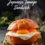 Join us on a journey to master the art of the tamago sandwich, complete with tips for achieving the perfect texture and presentation. Experience the joy of making this delightful dish at home, and bring a touch of Japanese flavor to your dining table with each satisfying bite.