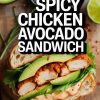 Whether you're meal prepping for the week or looking to impress at your next gathering, this Spicy Chicken Avocado Sandwich is a standout option. Dive into a recipe that promises bold flavors and unbeatable satisfaction in every bite.
